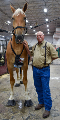 Faces of the fair: Animals—and the love of them—remain at the heart of the historic Indiana State Fair